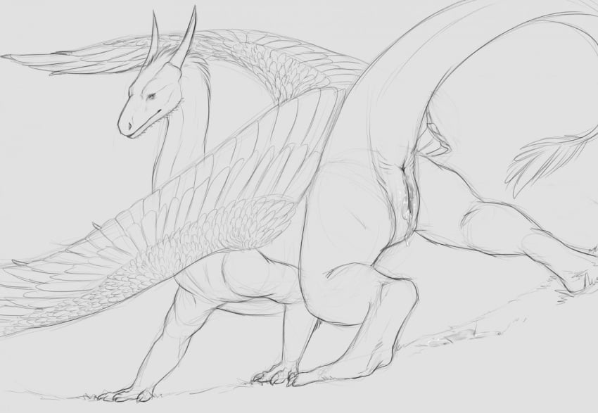 2017 anus black_and_white claws dragon eragon feathered_wings feathers female feral fur horn looking_at_viewer looking_back monochrome pose presenting presenting_pussy pussy pussy_juice raised_tail saphira scalie side_view simple_background sketch spikes spread_wings western_dragon white_background wings yaroul