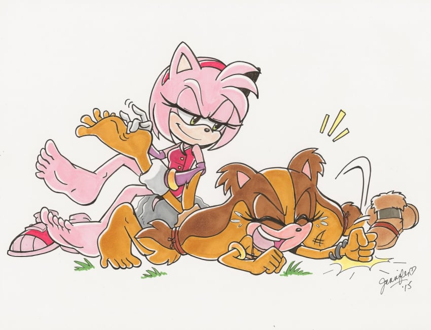 Amy Rose (Sonic (Series)) Rule 34 Image