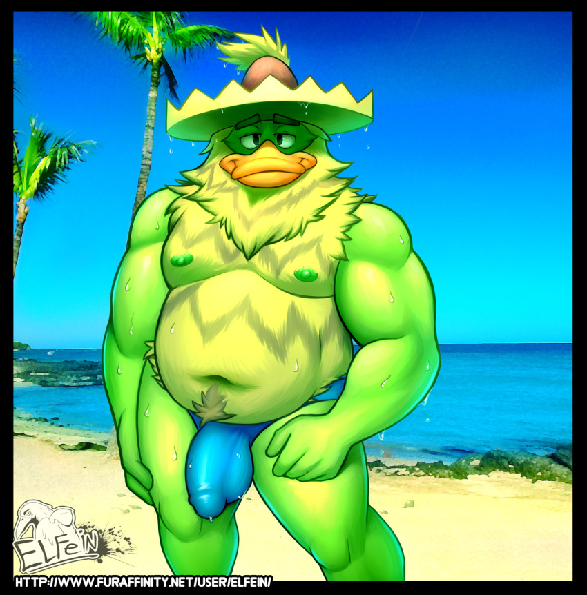 anthro avian beach bird bulge clothing elfein hat looking_at_viewer ludicolo male male_only musclegut nintendo nipples penis_outline pokemon seaside solo speedo standing swimsuit video_games wet