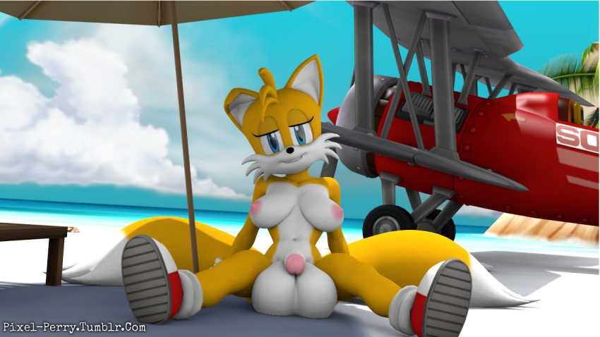 1futa 1girls 3d airplane anthro anthro_only balls blue_eyes breasts canine dickgirl exposed_torso female footwear fox furry futa_only futanari handwear hourglass_figure humanoid hyper intersex large_breasts mammal naked_footwear navel penis pixel-perry pose rule_63 scene solo solo_futa sonic_(series) tails tails_the_fox tailsko testicles