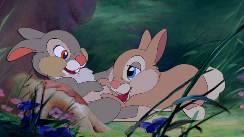 16:9 2017 bambi_(film) blossom_(bambi) blue_eyes brother brother_and_sister brown_eyes brown_fur buckteeth chest_tuft detailed_background disney duo fellatio female feral feral_on_feral flower fur grass grey_fur half-closed_eyes incest lagomorph lapine_penis leaning lying male mammal on_front open_mouth oral penis pink_nose plant rabbit sex sibling sister smile straight teeth the_giant_hamster thumper tongue tree tuft