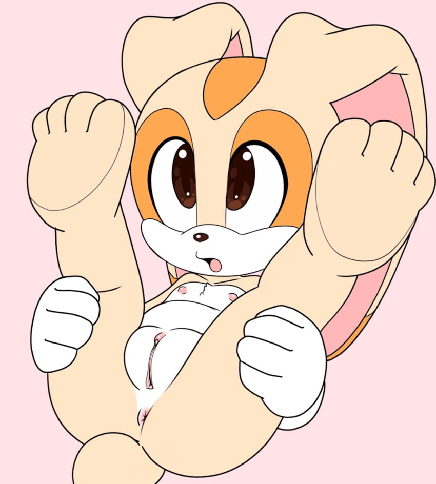 anus ass cream_the_rabbit cub flat_chest furry mikitng nipples nude open_mouth pussy rabbit sonic_(series) sonic_the_hedgehog_(series)