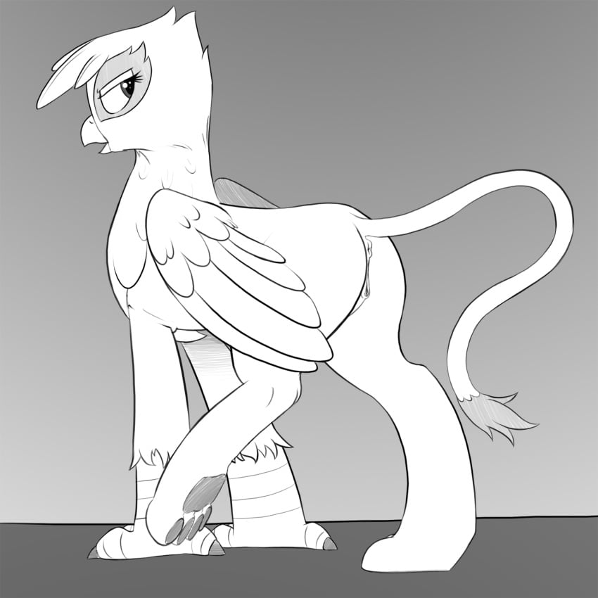 2017 anus avian beak feathered_wings feathers female feral friendship_is_magic gilda_(mlp) graboiidz greyscale gryphon hair hi_res looking_at_viewer looking_back monochrome my_little_pony pussy solo wings