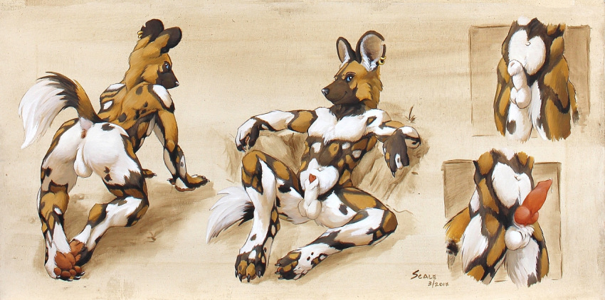 african_wild_dog animal_genitalia animal_penis anus ass canine canine_penis ear_piercing erection jewelry knot looking_at_viewer looking_back male mammal model_sheet necklace nude outside penis piercing precum presenting presenting_hindquarters scale_(artist) sheath solo testicles utunu