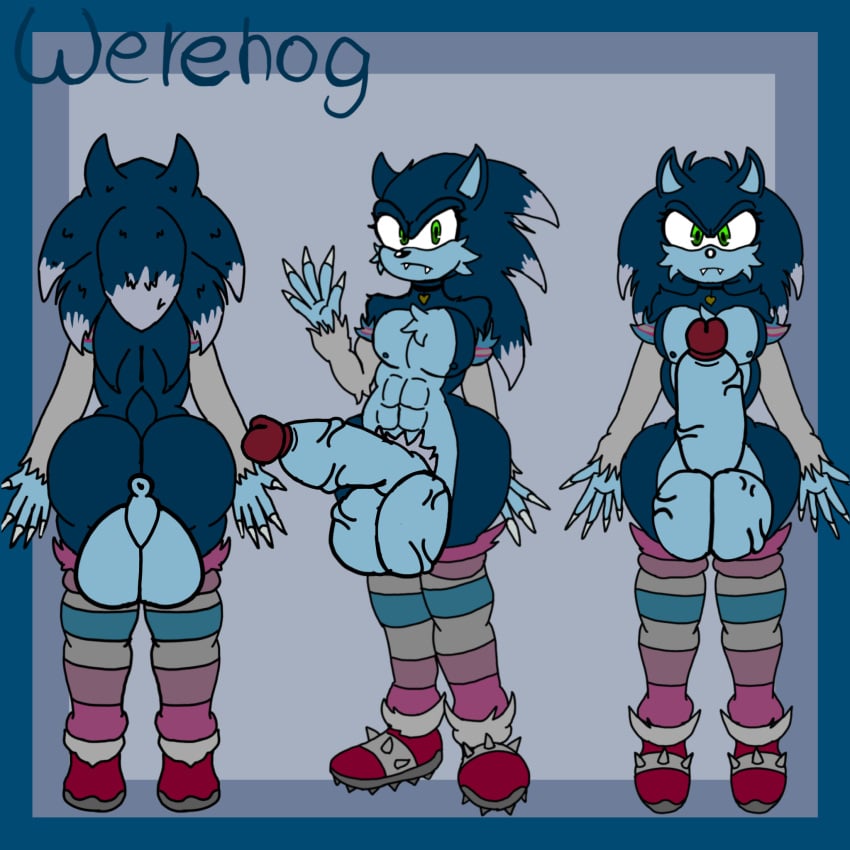 Original Character (Sonic (Series)) Rule 34 Image