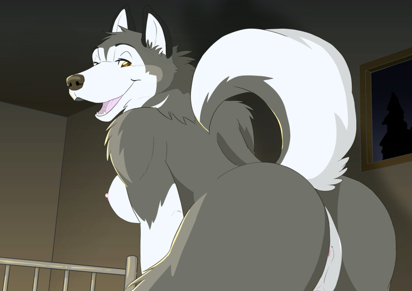 2015 anthro anus ass bent_over big_butt breasts brown_eyes canine canine female fur grey_fur looking_at_viewer looking_back malamute mammal multicolored_fur nipples nude open_mouth portrait presenting presenting_hindquarters raised_tail rear_view smile solo three-quarter_portrait two_tone_fur ukabor white_fur