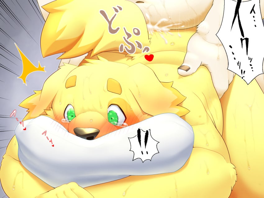 2021 4:3 anal anthro ass balls_deep bear belly bite blush bodily_fluids canid canine canis comic cu_sith_(tas) cum cum_in_ass cum_inside deep_penetration domestic_dog duo ejaculation face_on_pillow fucked_silly fur genital_fluids genitals hands-free heart_symbol hi_res implied_orgasm in_bliss intense_orgasm japanese_text kemono leib_(tas) lifewonders looking_pleasured lost_in_pleasure male male/male mammal mature_male moan nameko_no_neko orgasm orgasm_face overweight overweight_male penetration penis pillow pillow_bite polar_bear romantic romantic_couple romantic_sex rough_sex sex sound_effects sweat tears tears_of_pleasure text tokyo_afterschool_summoners translated trembling_for_pleasure ursine white_body white_fur