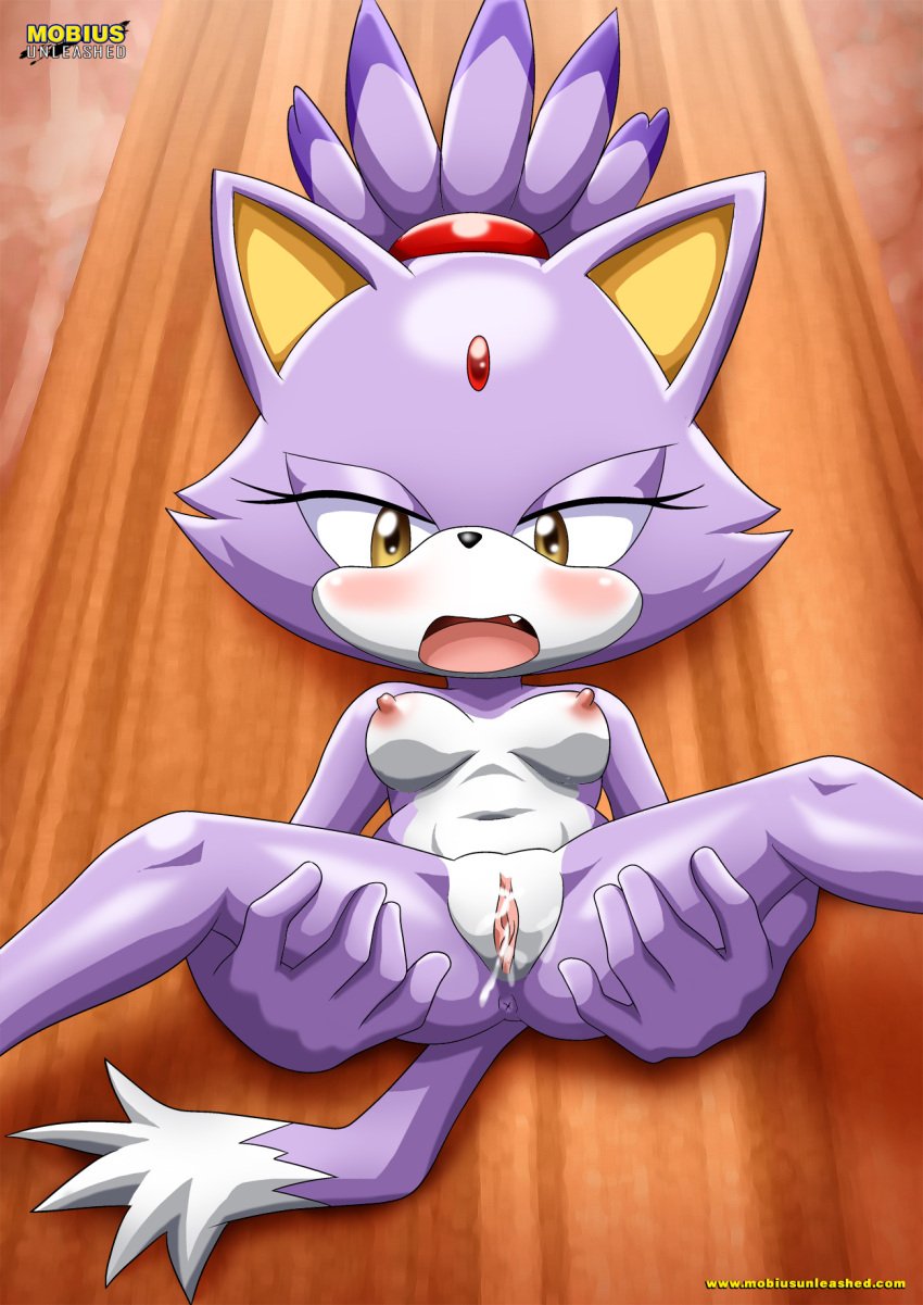 1girls after_sex after_vaginal anthro anus ass bbmbbf blaze_the_cat blush breasts cum cum_in_pussy cum_inside female female_only mobius_unleashed nipples nude open_mouth palcomix pussy sega solo sonic_(series) sonic_the_hedgehog_(series) tongue