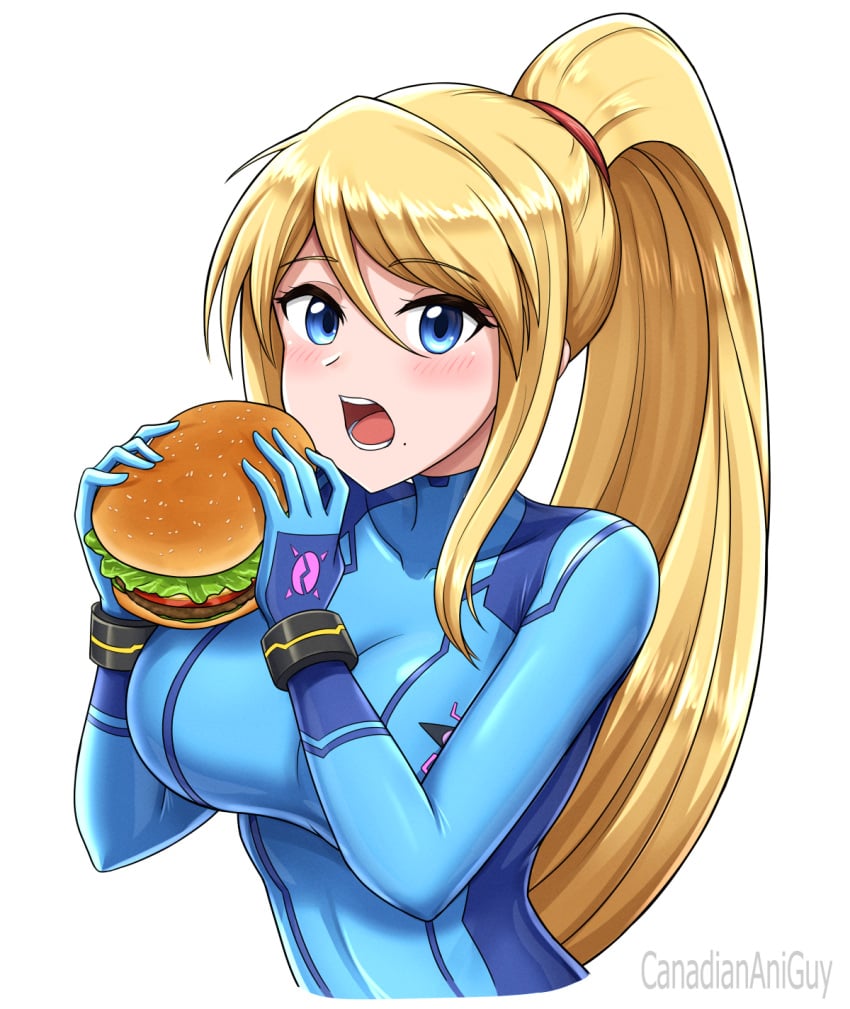 Samus Aran (Metroid) Rule 34 Image