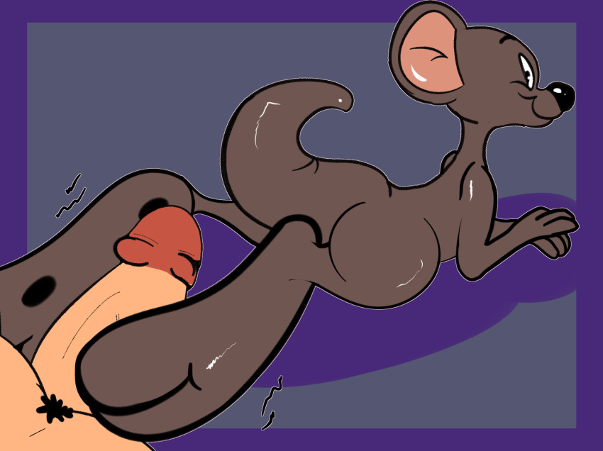 Looney Tunes Rule 34 Image