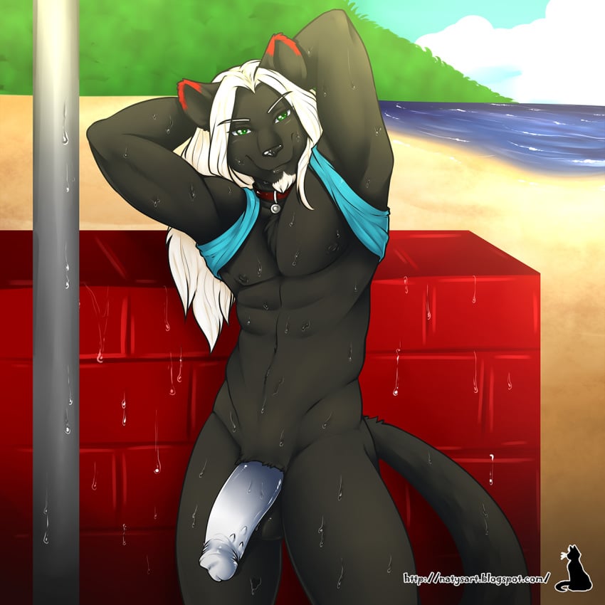 1boy anthro balls barbed_penis beach collar feline looking_at_viewer male male_only mammal natysanime penis seaside shirt_up shower smile solo standing sweat white_hair