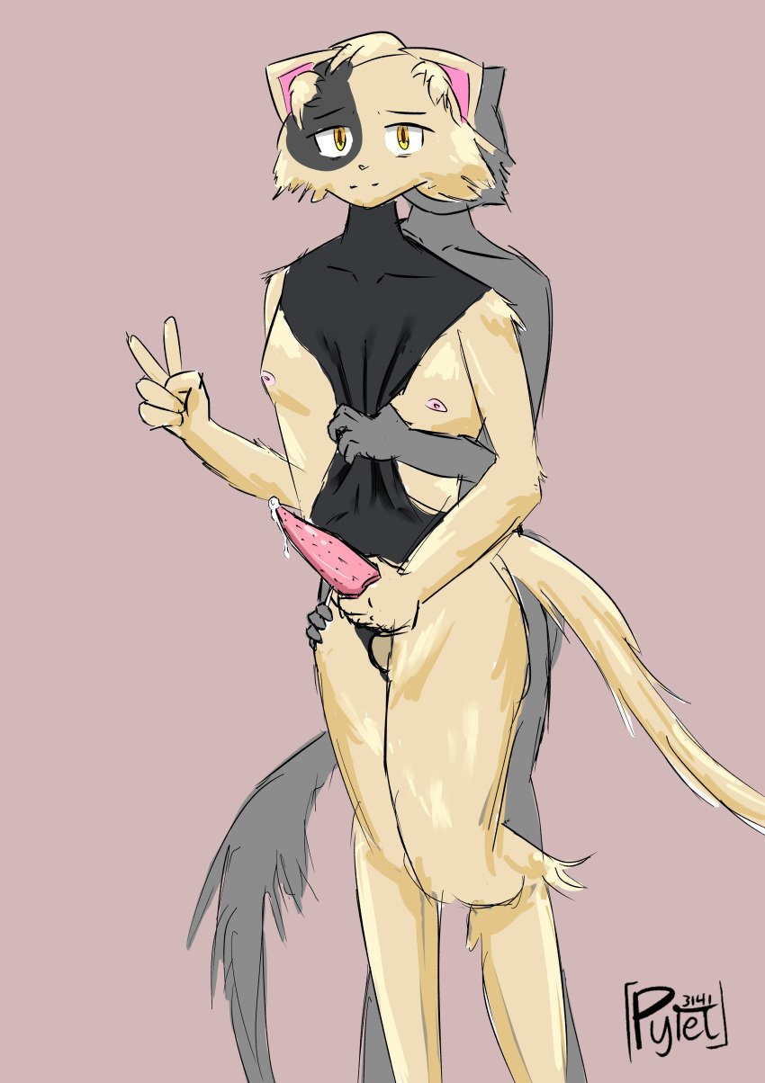 absurd_res ambiguous_gender animal_genitalia animal_penis anthro artist_logo artist_name balls bodily_fluids bodysuit clothed clothing clothing_aside colored digital_media_(artwork) domestic_cat duo english_text erection felid feline feline_genitalia feline_penis felis fur genital_fluids genitals gesture hair hand_gesture hand_on_chest hand_on_hip hand_on_penis hi_res logo looking_at_viewer male male/ambiguous mammal nipples orange_eyes penis precum pye3141 simple_background skinsuit smile tail tan_body tan_fur text tight_clothing topwear v_sign