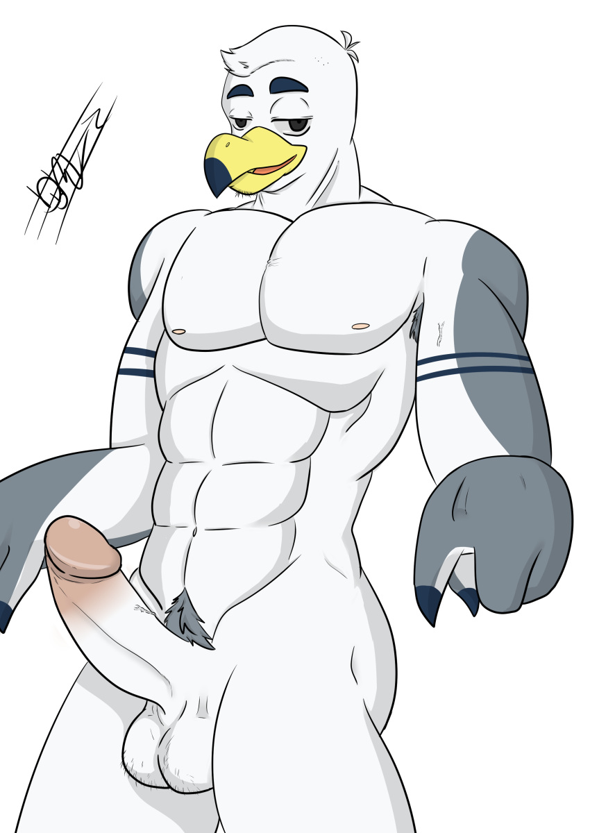 anthro avian ayden_(brogulls) balls bird brogulls erection humanoid_penis male male_only muscular penis ryutzke_douga_(artist) seagull solo