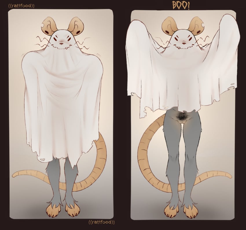 anthro barefoot bedsheet_ghost bottomless bottomless_anthro bottomless_female clothed clothing clothing_lift comic feet female flashing genitals halloween hi_res holidays mammal morgan_(rattfood) murid murine no_underwear pubes pussy rat rattfood rodent solo