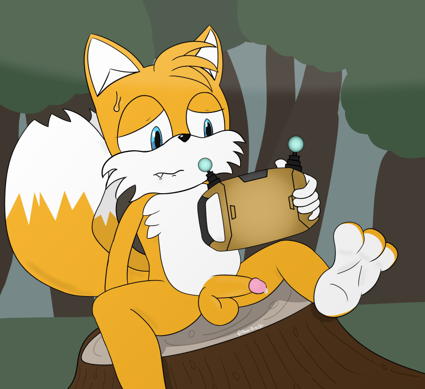 absurd_res anthro balls bodily_fluids canid canine digital_drawing_(artwork) digital_media_(artwork) famousfen feet foot_focus forest forest_background fox genitals hi_res holding_object male mammal nature nature_background nude nude_anthro nude_male penis plant raised_leg sega sitting sitting_on_log solo sonic_(series) sonic_the_hedgehog_(series) sweat sweatdrop tails_the_fox tree