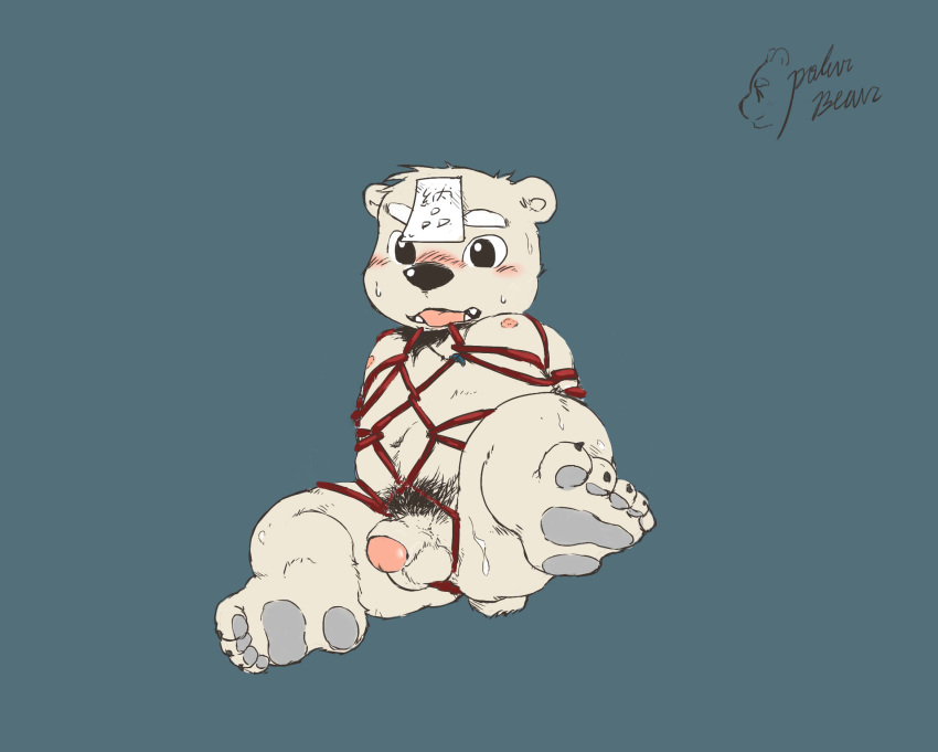 balls bear blush bondage bound flaccid japanese_text male_only mammal nipples penis polakuma polar_bear rope text translation_request