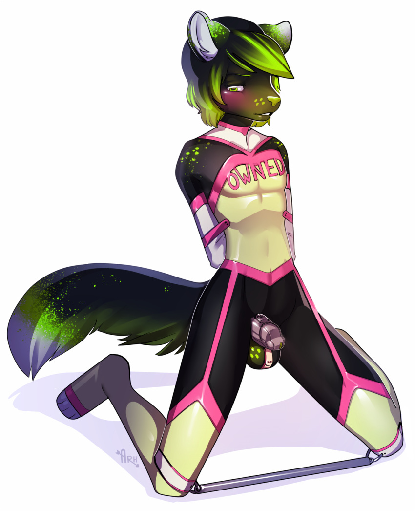 2016 anthro arh arms_behind_back balls blush bondage bound canine chastity chastity_cage chastity_device clothing fox furry green_hair hair invalid_tag kneeling legwear male male_chastity malesub mammal neon_(character) smile solo spreader_bar stockings the_furry_ninja