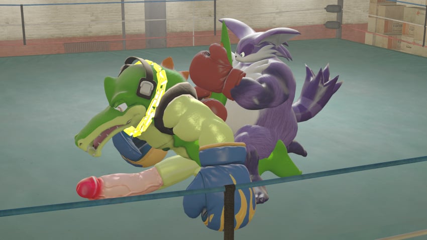 anal anal_sex anthro berryuhhd big_muscles big_penis big_the_cat boxing boxing_gloves clothing crocodile crocodilian duo felid fighting_ring from_behind_position genitals handwear hi_res huge_cock hyper hyper_genitalia hyper_penis male male/male mammal mostly_nude musclegut muscular muscular_male nipples penetration penis reptile scalie sega sex sonic_(series) sonic_the_hedgehog_(series) sport tail tail_grab vector_the_crocodile vein veiny_penis