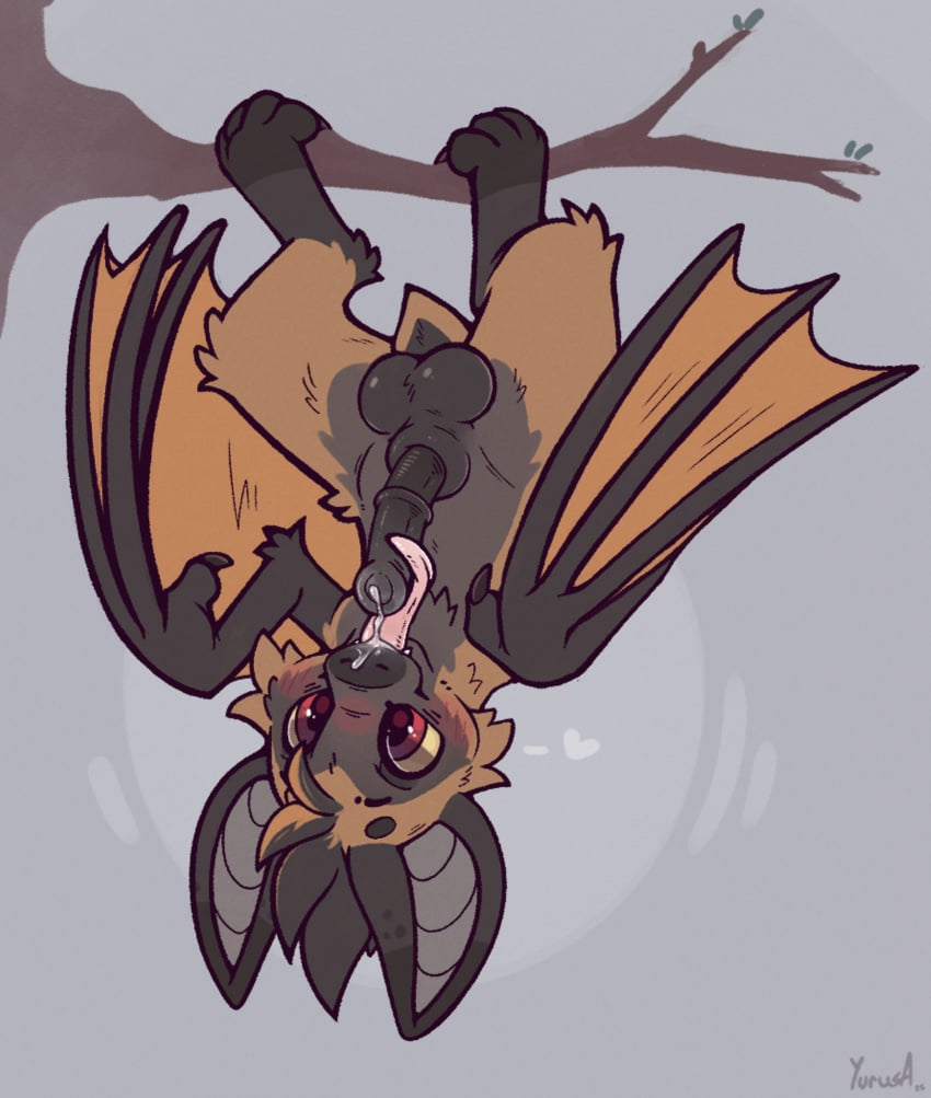 balls bat blush bodily_fluids cum cum_on_face erection fellatio flying_fox fur genital_fluids genitals hi_res korwin licking male mammal megabat nude oral penile penis penis_lick self_lick sex solo tongue tongue_out upside-down wings yurusa