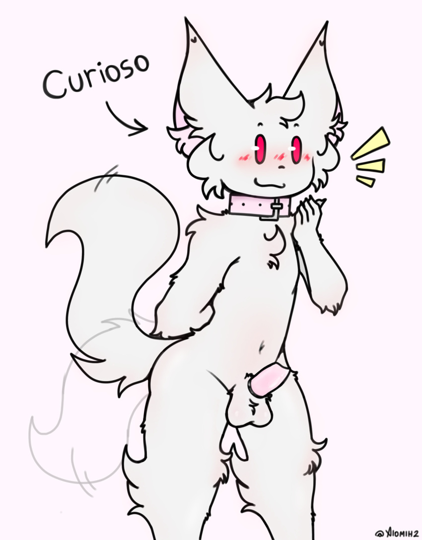 absurd_res animal_humanoid anthro balls blush body_blush bodysuit canid canid_humanoid canine canine_humanoid canis clothing cutie_mark femboy fennec_humanoid fox_humanoid genitals hi_res humanoid hybrid knot knotted_penis male male_focus male_only mammal mammal_humanoid penis skinsuit smile solo tail tight_clothing wolf xiomih2