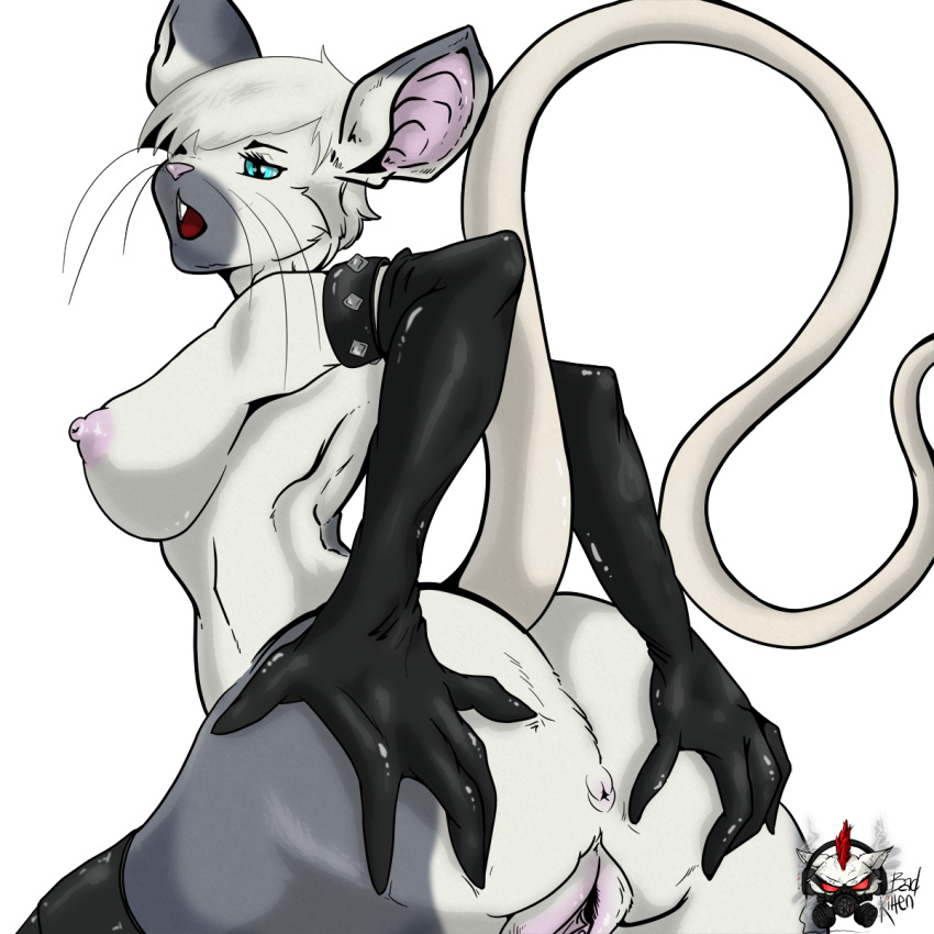 anthro anus ass badart_(artist) breasts female looking_back mammal mouse nipples open_mouth pussy rodent rubber solo