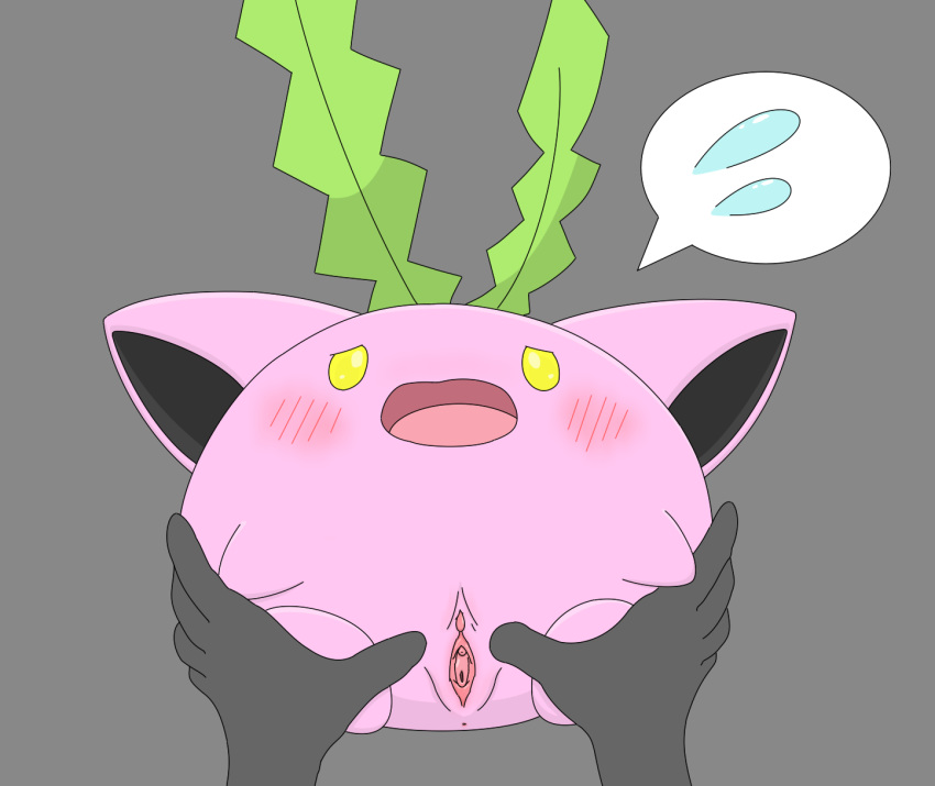 animal_genitalia anus blush clitoris female hoppip interspecies invalid_tag looking_at_viewer minami_(pixiv) nintendo open_mouth pokemon pokephilia pussy solo_focus spread_pussy spreading video_games