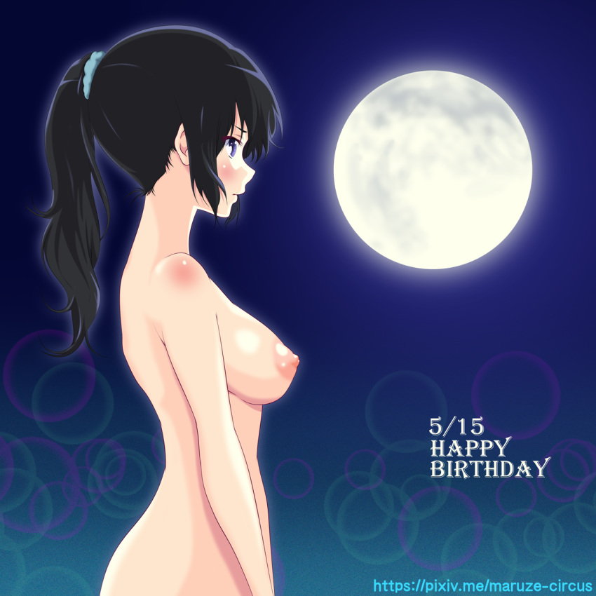 areolae arm artist_name back bare_arms bare_back bare_shoulders black_hair blue_scrunchie blush body_blush breasts closed_mouth dated female female from_side full_moon hair_ornament hair_scrunchie hair_tie happy_birthday hibike!_euphonium high_ponytail highres kousaka_reina large_breasts lens_flare long_hair maruze_circus moon nape neck night night_sky nipples nude ponytail profile purple_eyes scrunchie serious shoulder_blush sky solo standing tied_hair upper_body