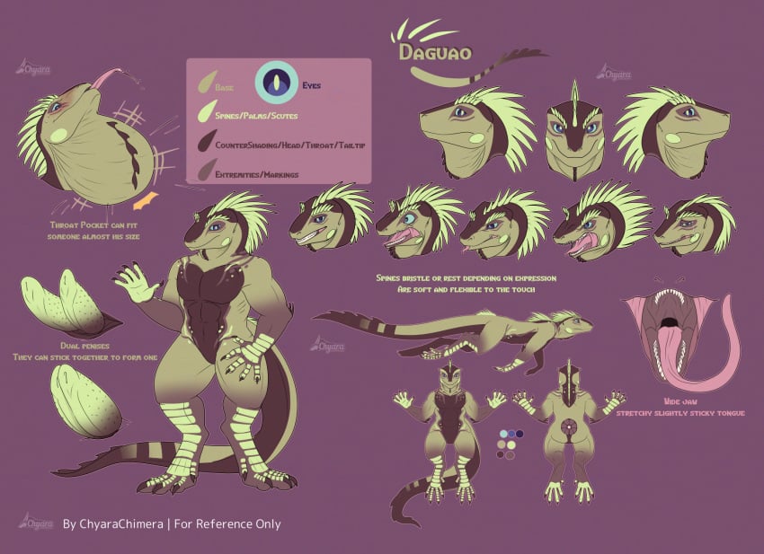 2_penises anthro chyara_the_chimera dewlap_(anatomy) digitigrade diphallia diphallism docked_tail english_text genitals hi_res iguana iguanid lizard long_tail long_tongue male model_sheet multi_genitalia multi_penis neck_bulge nubbed_penis open_mouth penis pupils reptile scalie short_tail slit_pupils solo tail text tongue vore