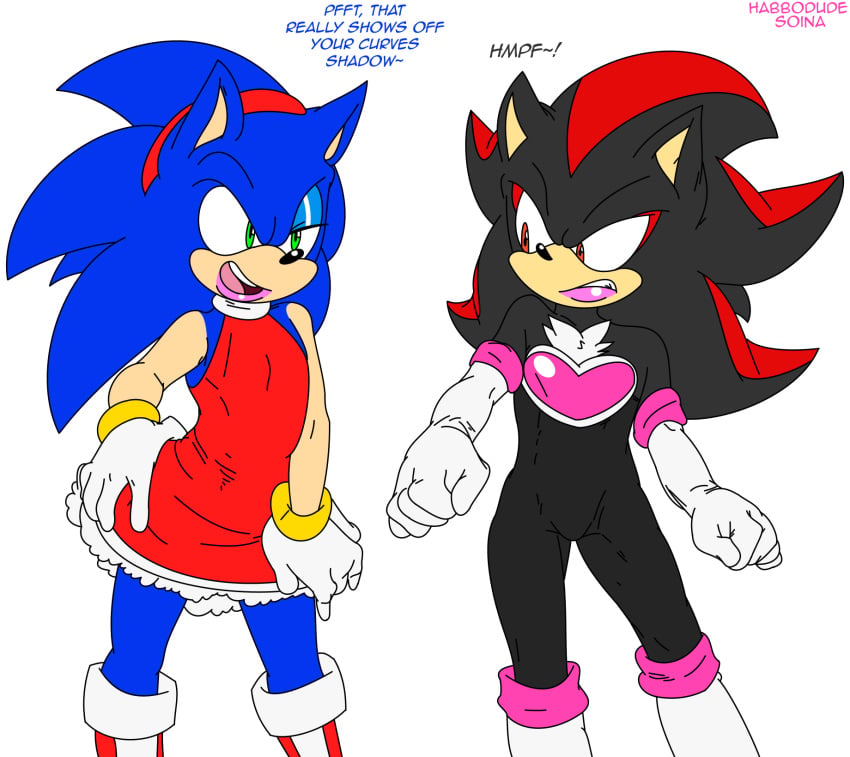 Amy Rose (Sonic (Series)) Rule 34 Image