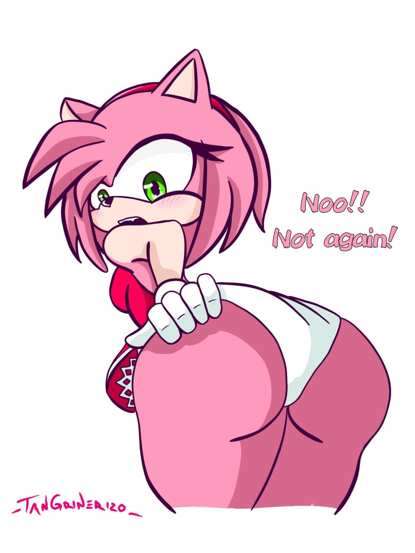 1girls amy_rose anthro ass big_ass butt english_commentary english_dialogue english_text exposed_panties female female_anthro furry furry_female green_eyes hedgehog hedgehog_girl mobian mobian_(species) newgrounds panties pink_body simple_background solo solo_female sonic_(series) sonic_the_hedgehog_(series) text upskirt white_background white_gloves white_panties