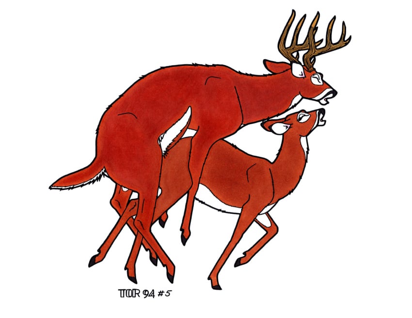 1990s 1994 20th_century anatomically_correct anatomically_correct_genitalia animal_genitalia antlers brown_fur cervine cervine_genitalia closed_eyes cloven_hooves deer duo female feral feral_on_feral from_behind_position fur genitals hooves horn male mammal mounting multicolored_fur orgasm penetration raised_tail sex simple_background straight tim_o'rourke two_tone_fur vaginal_penetration white_background white_fur year