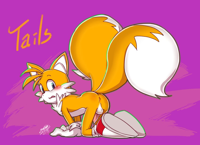 anus ass avimedes balls blush male male_only penis sonic_(series) tails