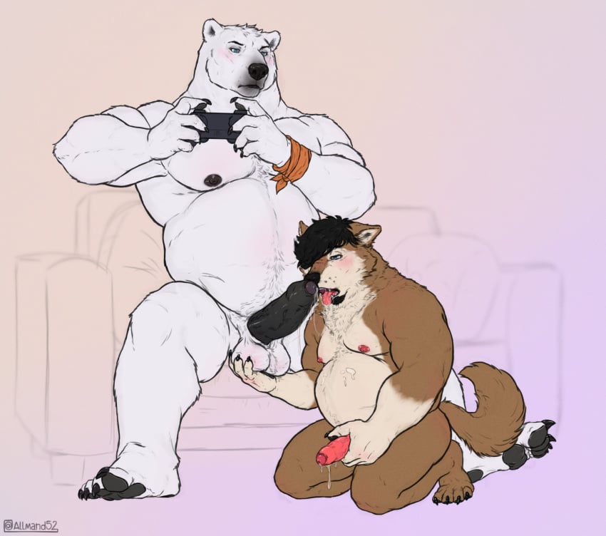 absurd_res allmand52 anthro anthro_on_anthro ball_fondling balls bear beard belly black_penis blue_eyes bodily_fluids brown_body canid canine canis controller digital_media_(artwork) domestic_dog dripping duo erection facial_hair fellatio fondling foreskin fur furniture game_controller gaming genital_fluids genitals goatee gumek hair hi_res holding_penis humanoid_genitalia humanoid_penis husky kneeling leaking_precum licking male male/male mammal masturbation nipples nordic_sled_dog nude oral penile penile_masturbation penis penis_lick polar_bear precum precum_drip rihad sex size_difference slightly_chubby sofa spitz tail tongue tongue_out uncircumcised ursine white_body white_fur