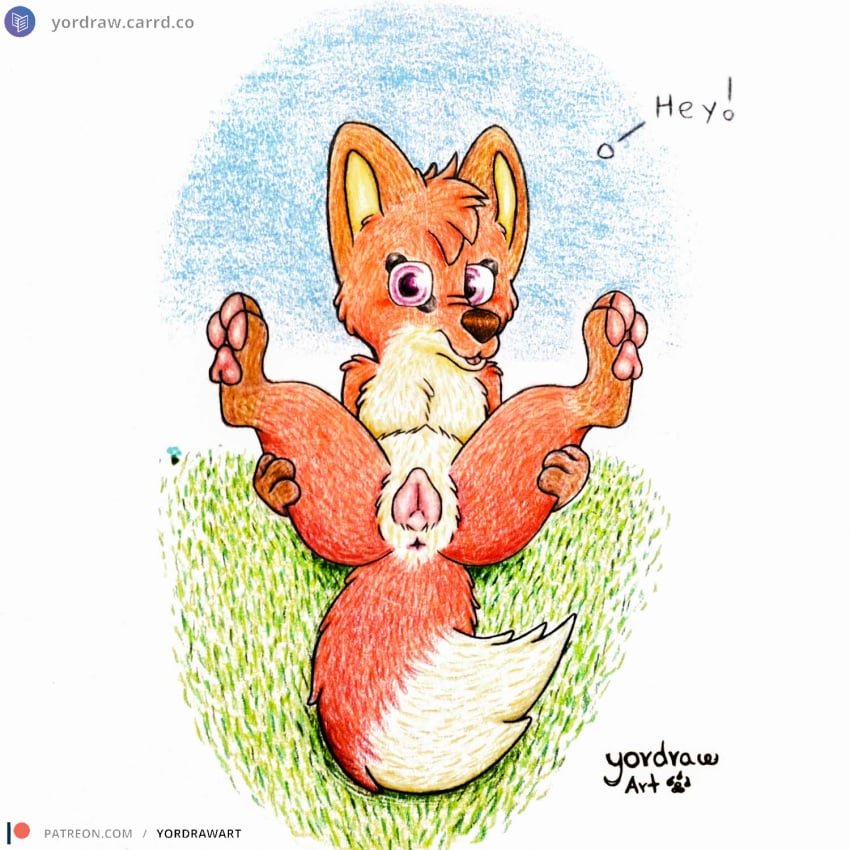 3_toes animal_genitalia animal_pussy anus ass belly brown_nose brown_paws canid canine canine_genitalia canine_pussy feet female feral fox fur genitals grass hi_res jungledyret_hugo leg_grab legs_in_air looking_at_viewer mammal open_mouth open_smile patreon patreon_logo patreon_username pawpads paws pink_pawpads pink_pussy plant presenting presenting_hindquarters presenting_pussy pussy red_body red_fox red_fur rita_(jungledyret) sitting smile smiling_at_viewer solo spread_legs spreading text toes traditional_media_(artwork) true_fox url yordraw