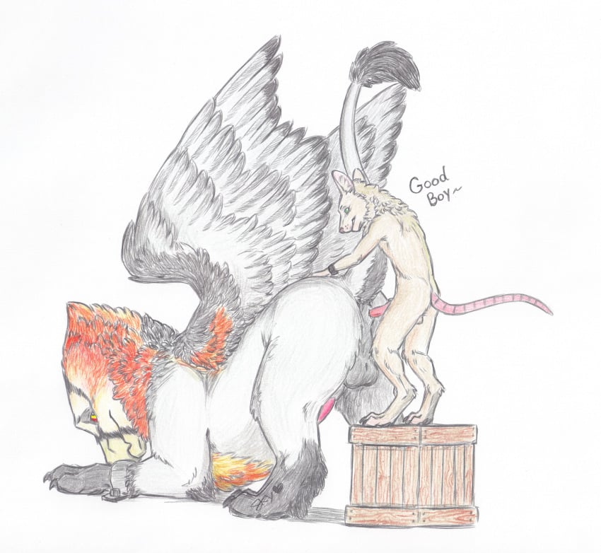 anal anthro anthro_on_feral avian bearded_vulture bird bondage bound feral furry gryphon male mammal mouse rodent skyfifer vulture yaoi zoophilia