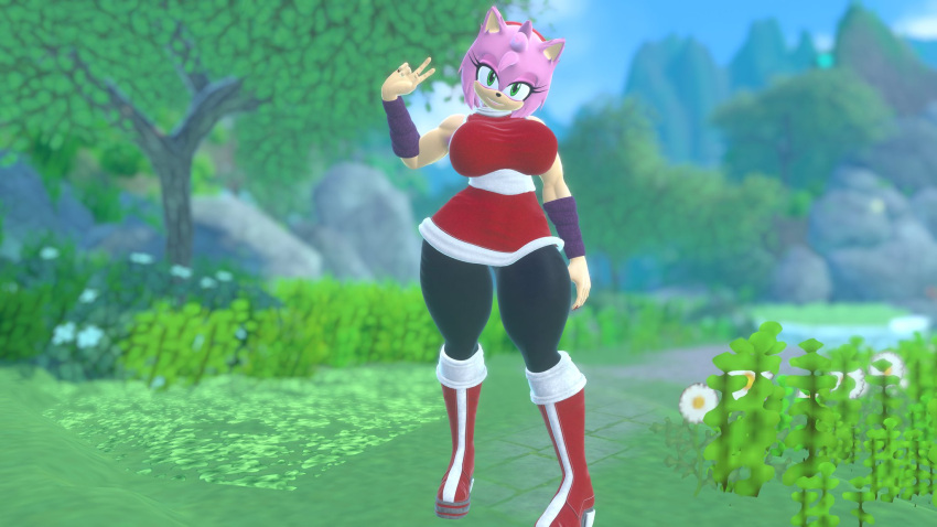 Amy Rose (Sega) Rule 34 Image