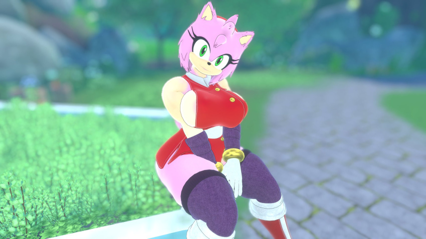 Amy Rose (Sega) Rule 34 Image