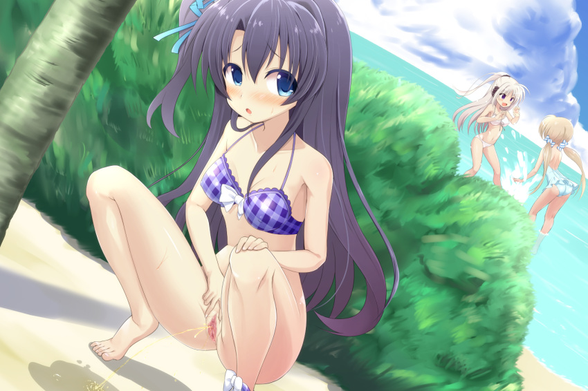 3girls ass bare_shoulders barefoot beach bikini bikini_around_one_leg bikini_top black_hair blue_eyes breasts bush censored character_request cleavage cloud hiding long_hair looking_back lyrical_nanoha multiple_girls navel ocean one-piece_swimsuit open_mouth outdoors peeing ponytail pussy ribbon rinne_berlinetta side_ponytail silver_hair sky smile splashing spread_legs spread_pussy squatting strapless strapless_one-piece_swimsuit strapless_swimsuit swimsuit tenjou_ryuka tree twintails vivid_strike! water yumina_enclave