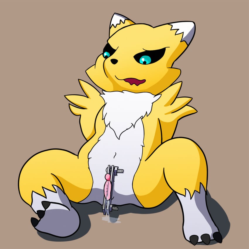 anthro circumcision clitordectomy clitoris digimon female fur genital_mutilation nude pussy pussy_circumcision pussy_clamp pussy_mutilation renamon screw_clamp solo vladimir