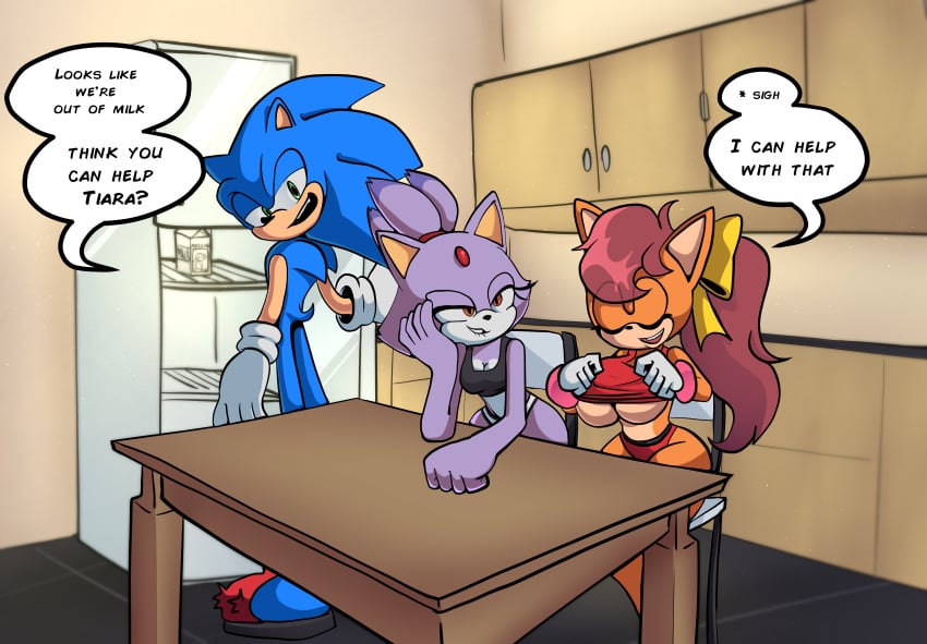 blaze_the_cat blue_fur blush blush breasts brown_fur brown_hair dialogue feline feline gloves hedgehog kitchen lifting_shirt manx manx_cat milk panties polyamory ponytail purple_body purple_fur refrigerator seductive seductive_look sega slippers sonic_(series) sonic_the_hedgehog sonic_the_hedgehog_(series) sonic_x-treme tiara_boobowski underboob underwear xao_art