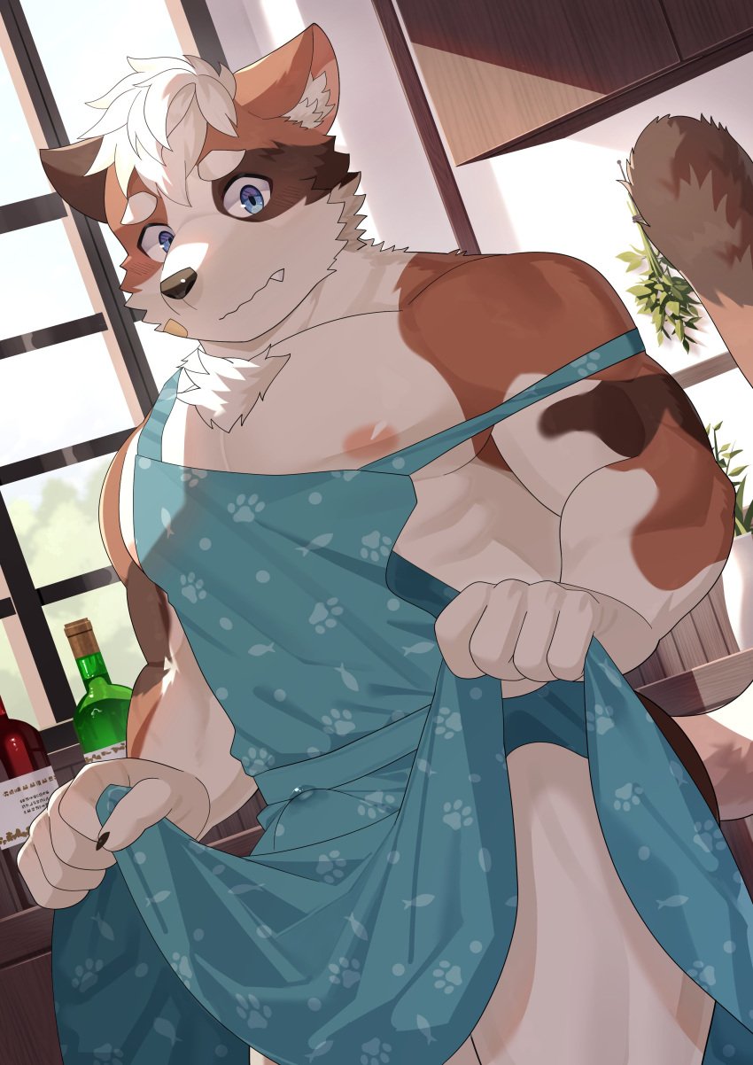 1boy abs absurdres agitong animal_ears apron apron_hold blue_apron blue_eyes blue_male_underwear bulge cat_boy cat_ears cat_tail claws closed_mouth commentary_request crave_saga erection erection_under_clothes fang_out furry furry_male highres mageiro_(crave_saga) male_focus male_underwear muscular muscular_male nipples oerba_yun_fang pectorals precum tail underwear wavy_mouth