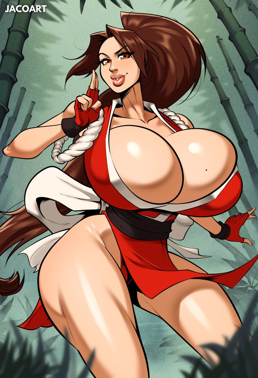 1female 1girls fatal_fury female female_only iacolare jacogram mai_shiranui solo solo_female tagme twitter_link