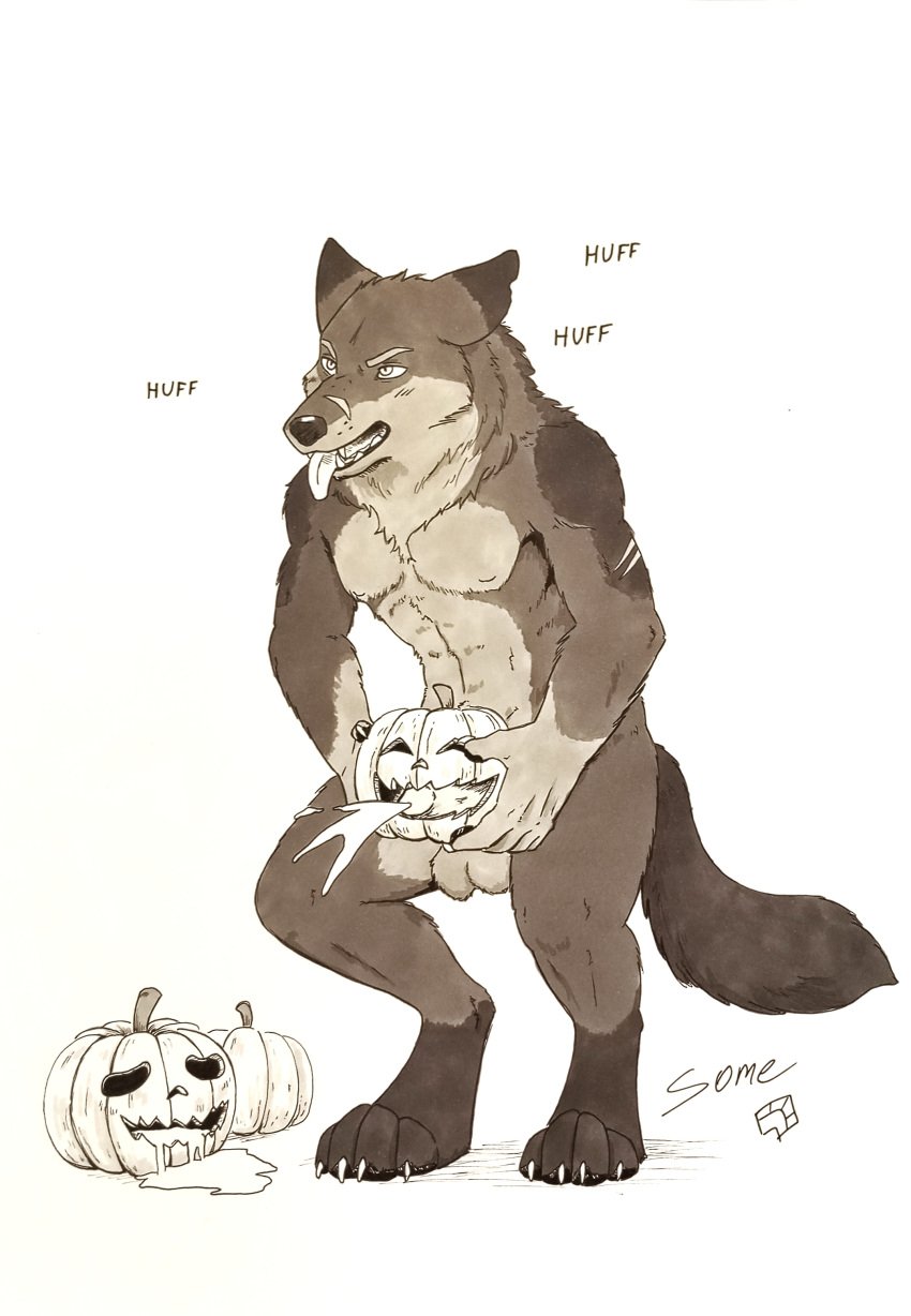 absurd_res anthro bodily_fluids breath canid canine canis cum ejaculation food fruit genital_fluids genitals grey_fur hi_res holding_object holding_pumpkin male male_only male_penetrating mammal masturbation mythological_canine mythological_creature mythology open_mouth panting penetrating_pumpkin penis plant pumpkin pumpkin_masturbation scar signature solo some_(someone) standing tail tongue tongue_out werecanid werecanine werecreature werewolf white_background wolf