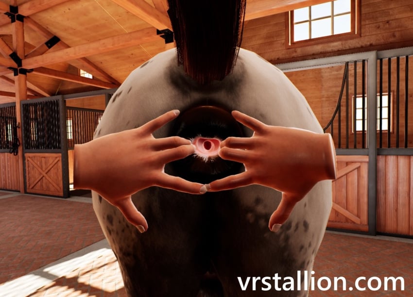 1animal 3d 3d_model anal anal_insertion anal_sex animal_genitalia anus anus_focus barn beast disembodied_hand donut_anus equine equine_anus equine_genitalia feral feral_penetrated fingering fingering_anus fingering_ass fingering_partner fingers game game_cg horse horse_anus horse_tail male original original_character penetration penetration_from_behind stretched_anus stretching video_game video_games vr vrstallion zoophilia zoophilia