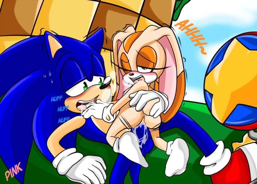 anus ass balls blue_fur cream_the_rabbit cum cum_in_pussy furry hedgehog mammal penis pinkthehedgehog pussy ravnic size_difference sonic_(series) sonic_the_hedgehog vaginal_penetration