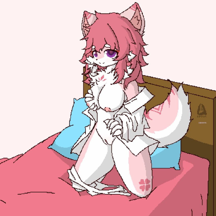 animated bed bodily_fluids breast_milking canid cassis female furniture genital_fluids genitals lactating mammal masturbation open_mouth peeing solo spread_vulva spreading tail tail_motion tailwag urine vaginal_fluids vaginal_masturbation vaginal_penetration vulva watersports wet_bed