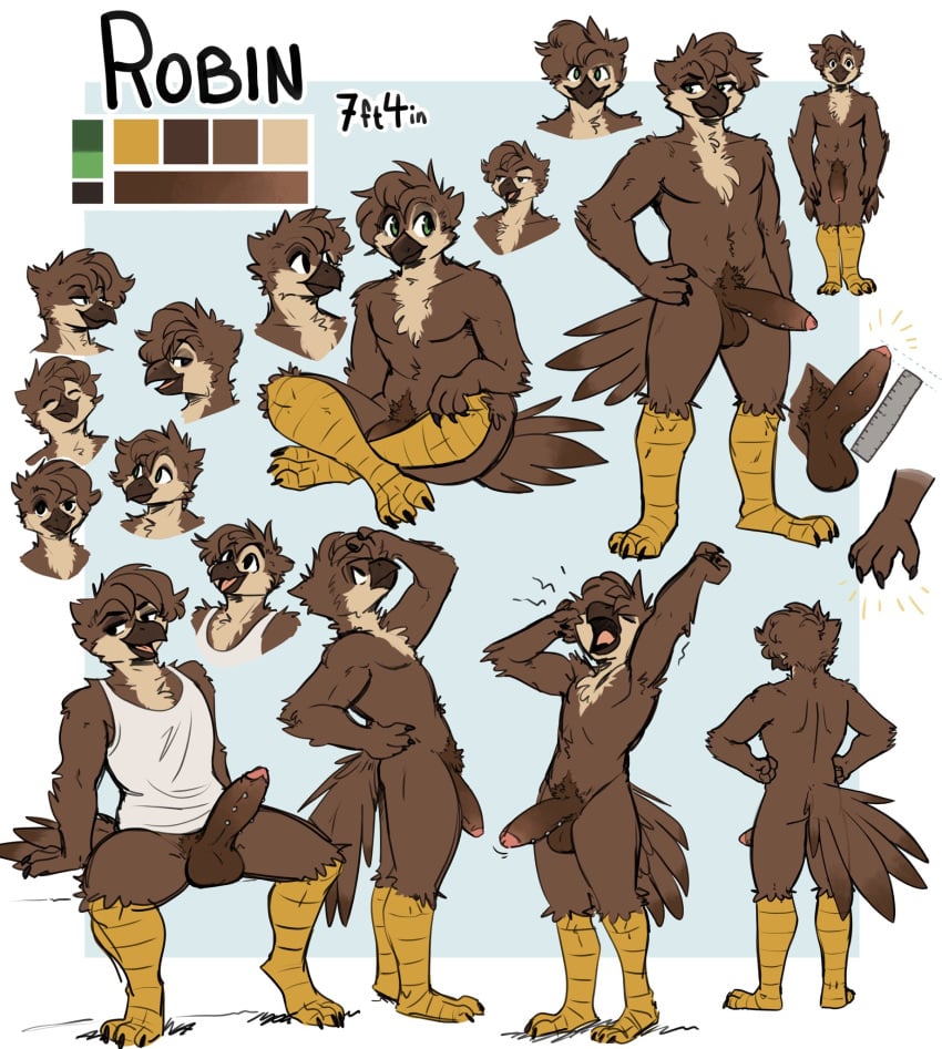 anthro avian avian_feet balls beak bird bottomless brown_body brown_feathers brown_hair clothed clothing erection feathers fuel_(artist) genitals glans green_eyes hair hi_res humanoid_genitalia humanoid_penis male model_sheet nude penis robin_(twinwizardtwrs) shirt shirt_only sitting solo standing stretching tail tail_feathers tank_top tank_top_only tawn topwear topwear_only