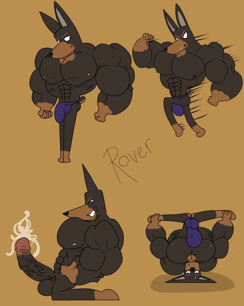 absurd_res anthro balls big_balls big_biceps big_bulge big_pecs bulge canid canine canis dobermann domestic_dog ejaculation erection genitals hi_res hyper hyper_genitalia kogo male mammal muscular muscular_male pecs pinscher rover_(kogo) solo