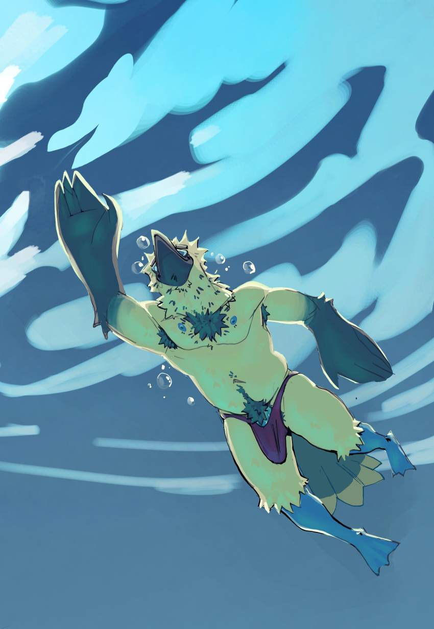 Booby (Bird) Rule 34 Image