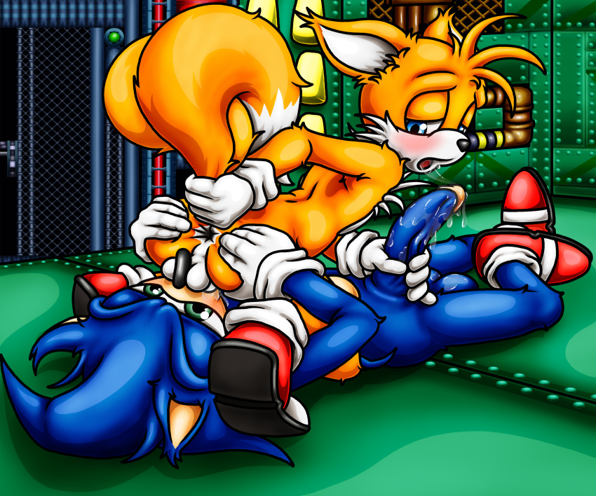 69 anthro anus backsack balls canine duo fox furry happyanthro hedgehog male mammal oral penis sex sonic_(series) sonic_the_hedgehog sonic_the_hedgehog_(series) sonic_the_hedgehog_2 tails throat_swabbing yaoi